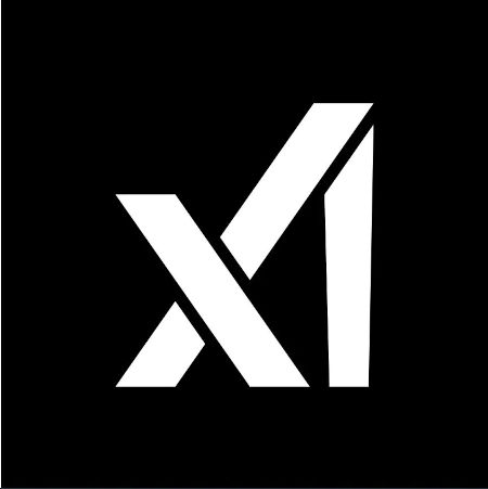 x ai company logo