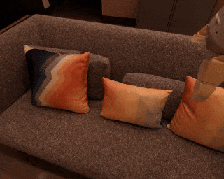 Robot doing home services
